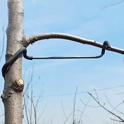 Fruit Tree Limb Spreaders - 5pcs Branch Support & Brace for Tree Growth
