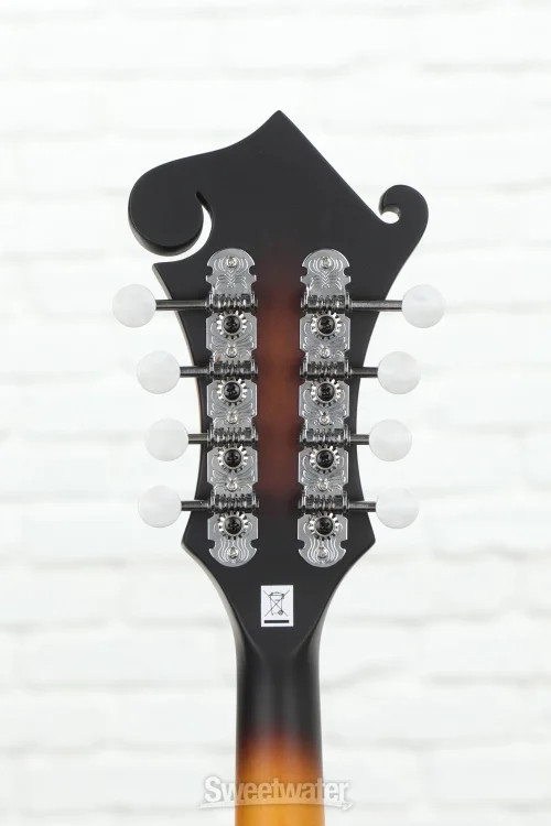 Washburn Americana M3E-PACK Mandolin Pack