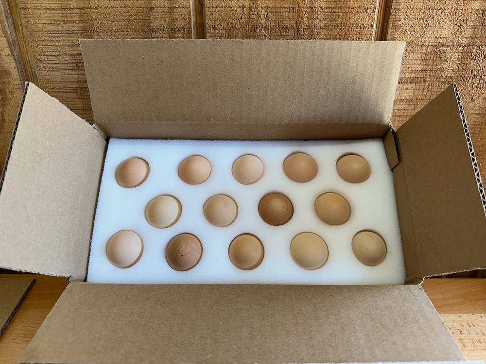 6 SETS - 14 Hole Foam Egg Shipper with Extra Thick Padding!