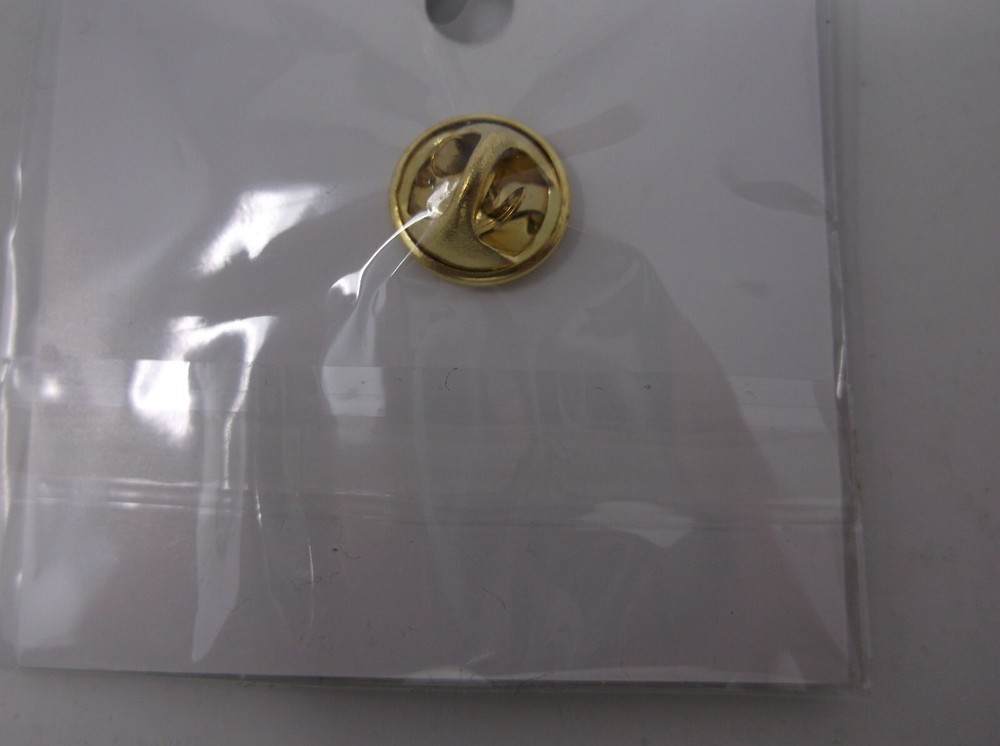 USA United We Stand Pin