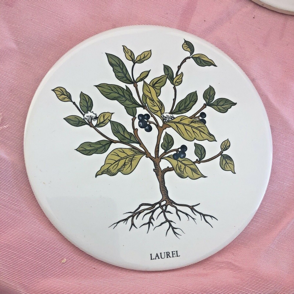 Ceramic Tile Laurel White Ceramic Round 6" Wide Hang /Trivet