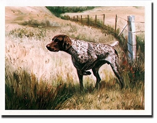 German Shorthaired Pointer Notecard Set 18 Blank Note Cards Artist Ruth Maystead
