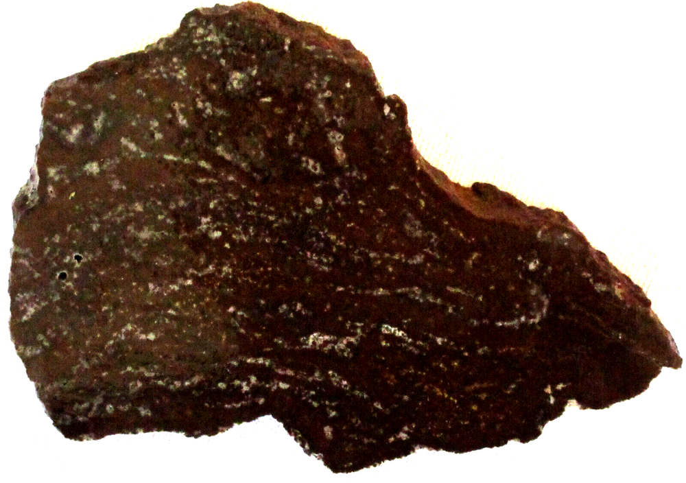 Fossilized Palm Root Slab - 135 Grams - Indonesia - Black - White