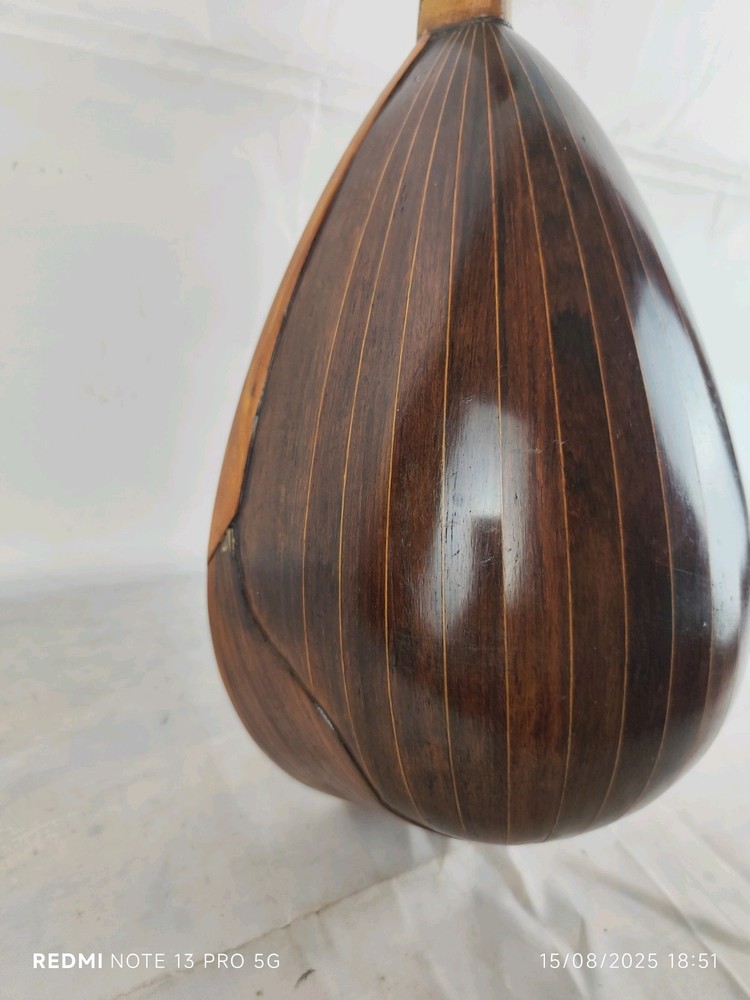 Mandolin 4/4 Giuseppe Cesolari 1905 Rome 曼陀林 만돌린マンドリン