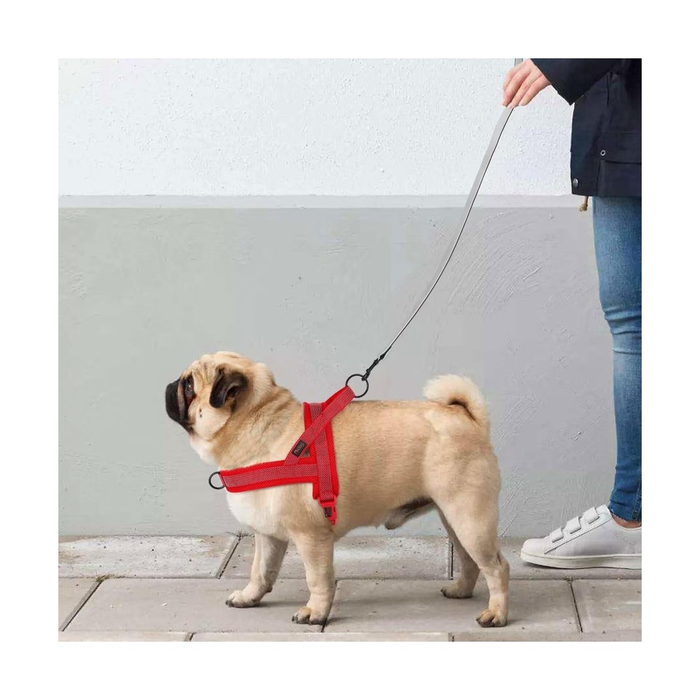 Didog No Pull Dog Harness with Breathable Mesh Padded, Full Ref... FAST USA SHIP