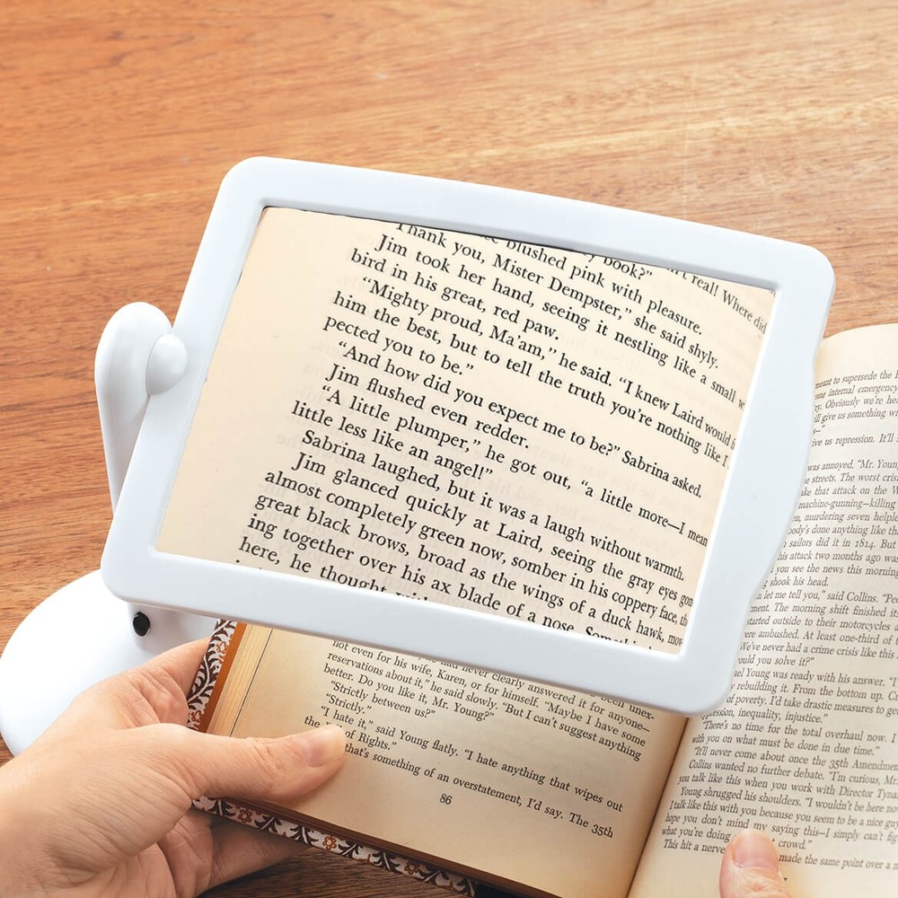 Lighted Freestanding Magnifying Screen