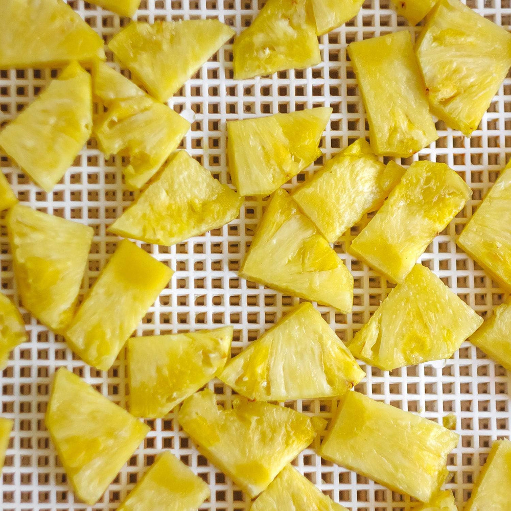 8 Pieces Silicone Dehydrator Sheets Mesh Dehydrator Trays Non-Stick Fruit Mats