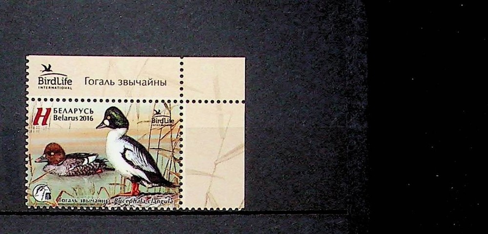 BELARUS Sc 979 NH ISSUE OF 2016 - BIRDS - (OJ25)