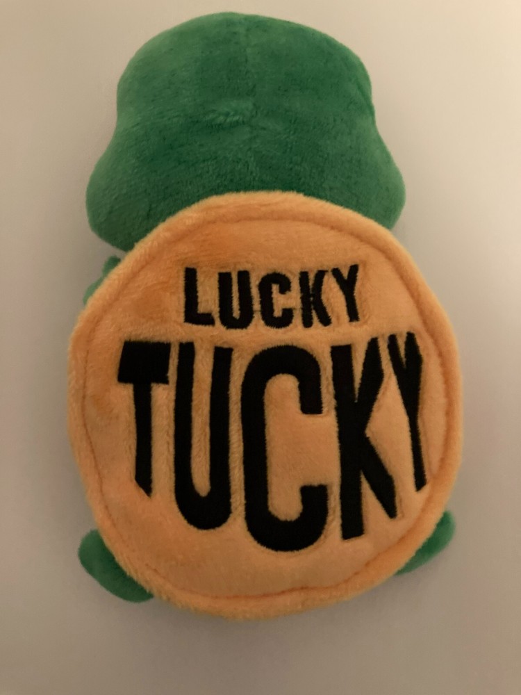 stuffed toy turtle good luck charm