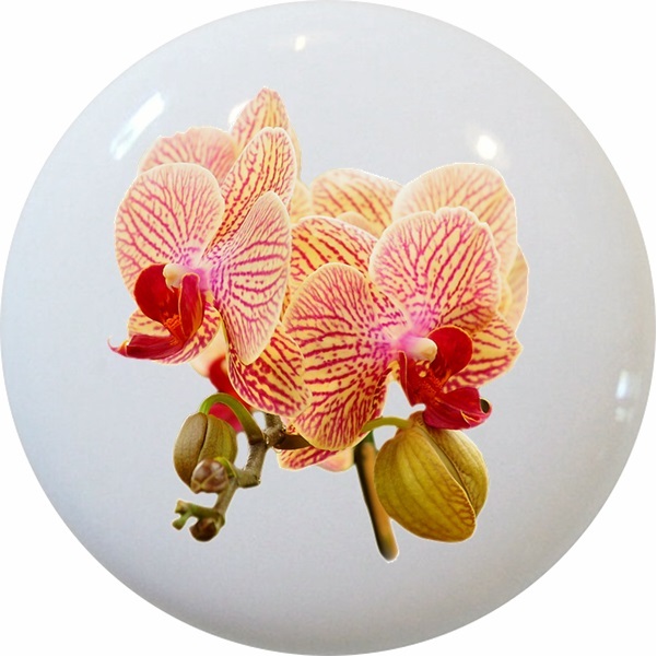 Colorful Orchids Cabinet DRAWER Pull KNOB Ceramic
