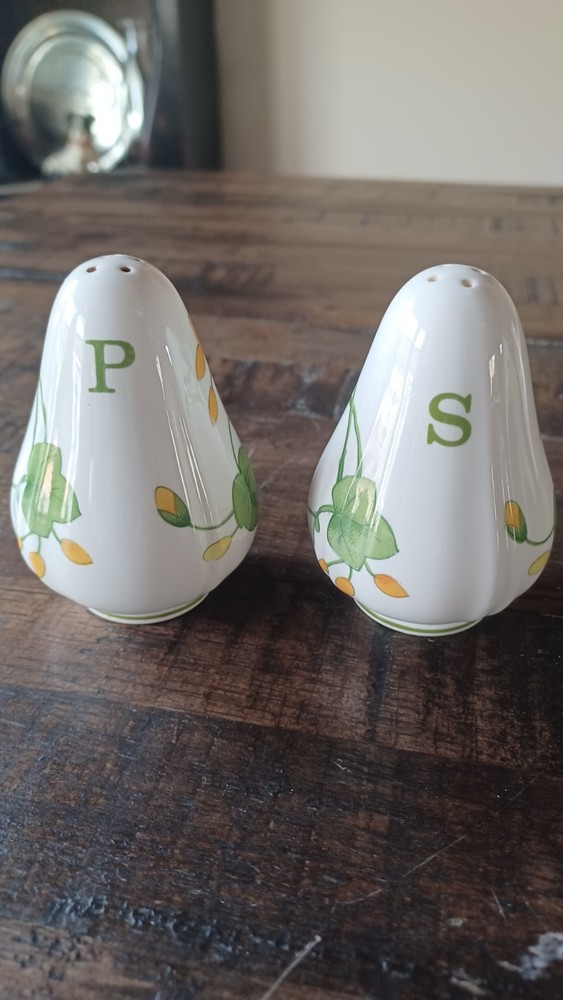 Villeroy & Boch Geranium Pattern Salt & Pepper Shakers 3" tall