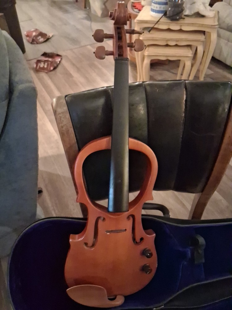 Electric Violin And Case