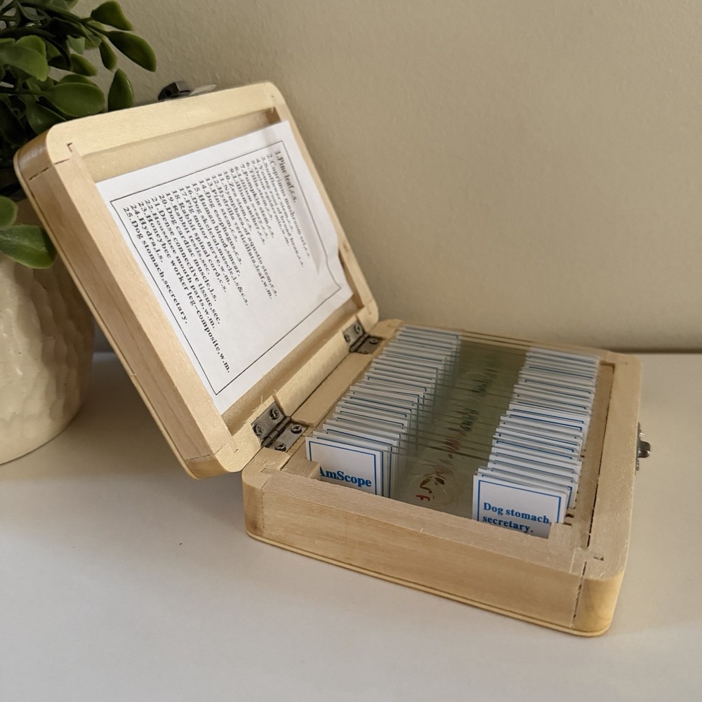 AmScope PS25 Prepared Microscope Slide Set