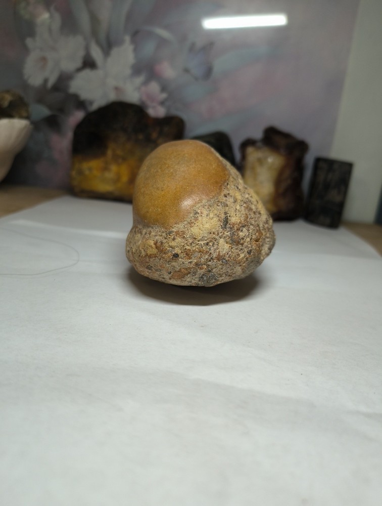 Egg Fossil possibly??? makes an interesting display piece