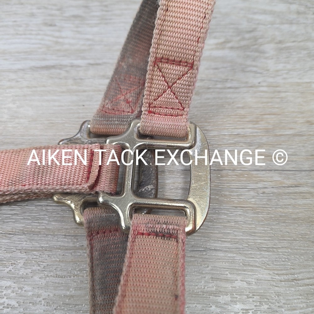 BARGAIN BUNDLE: Nylon Halter, Size Small with Lead Rope (Read Description)