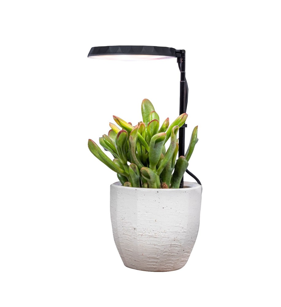AeroGarden Stem Grow Light - Black