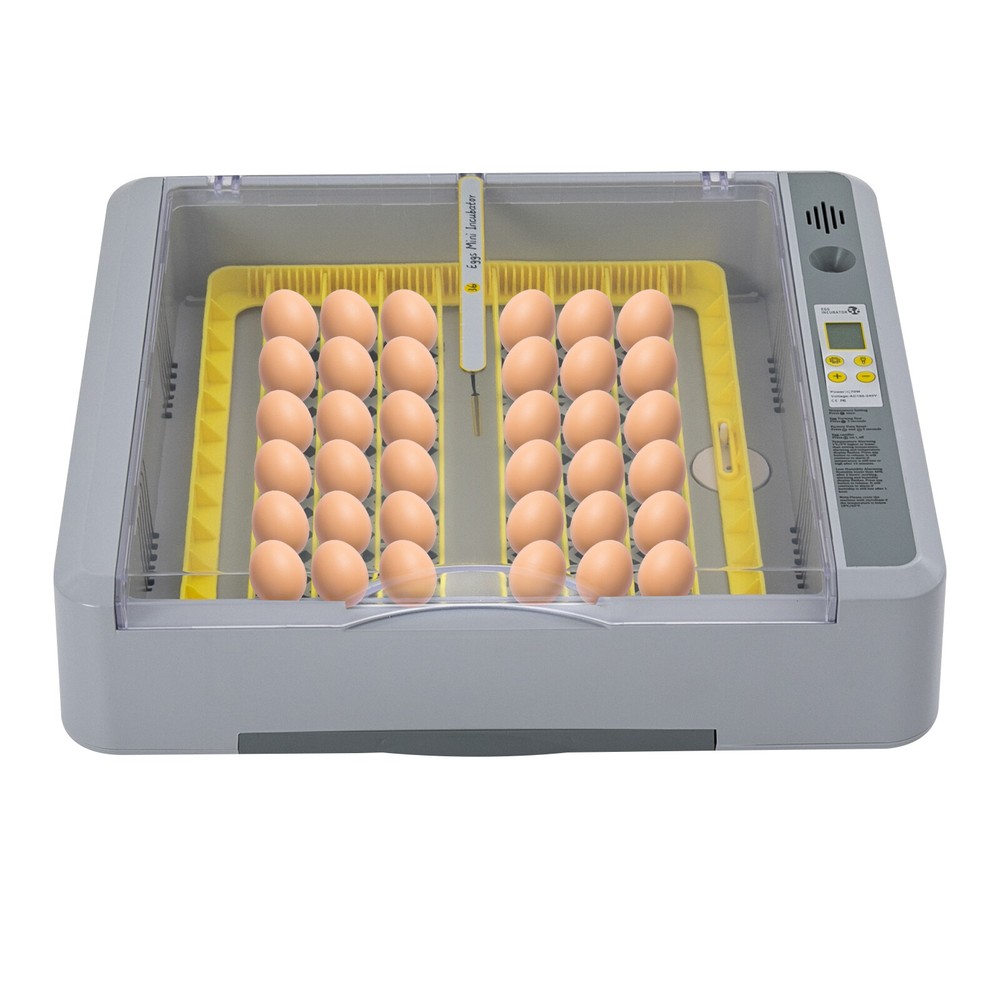 36 Egg Digital Incubator for Chickens and Poultry with Automatic Control
