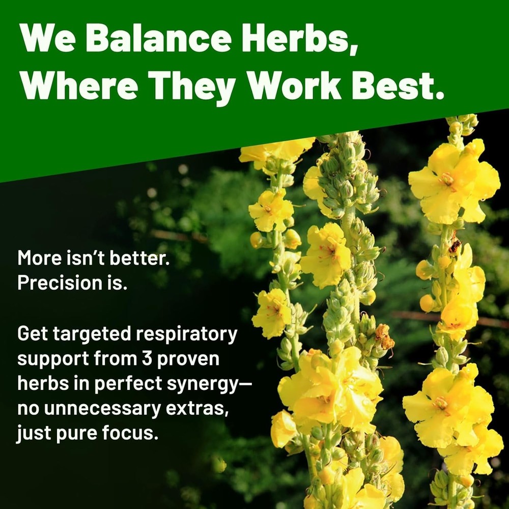 Mullein Drops for Lungs - USDA Organic Liquid - Mullein Leaf Extract Supplement