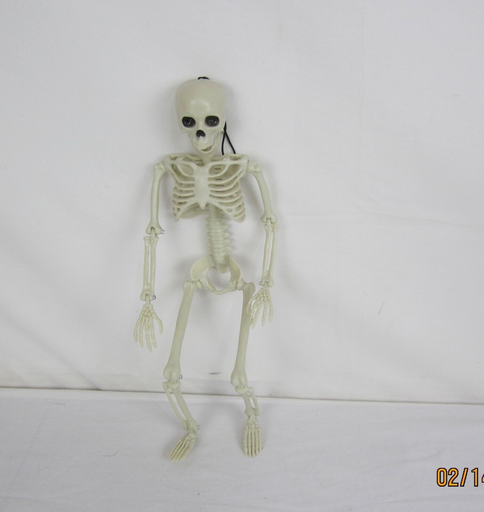 Halloween 14" Hanging Posable Skeleton
