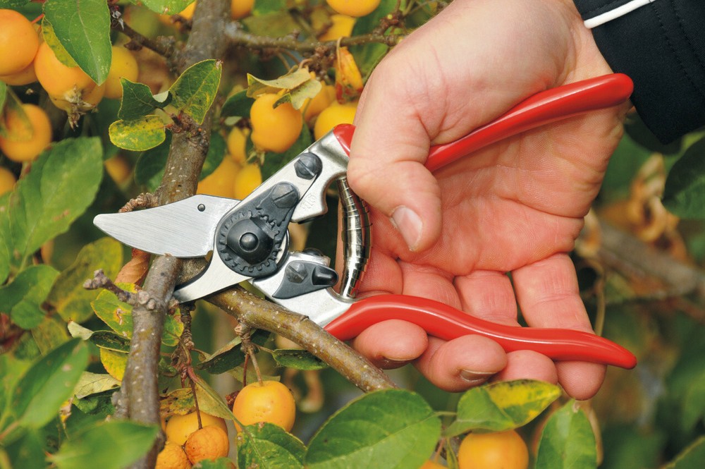FELCO 6 COMPACT SWISS MADE ONE-HAND HIGH PERFORMANCE PRUNING SHEAR / SECATEURS