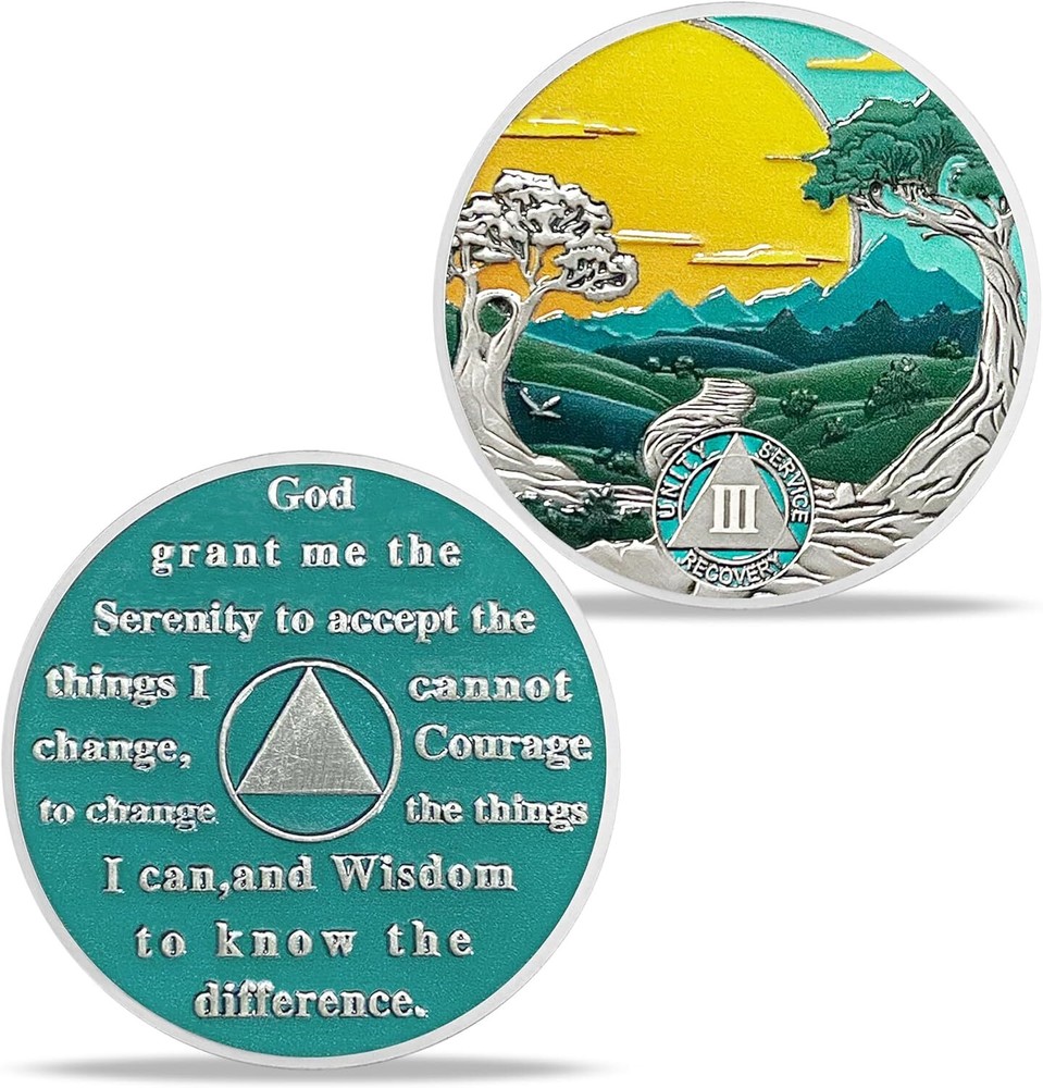 AA 3 Year Sobriety Coin Alcoholics Anonymous AA Chips Medallion Three Year Sober