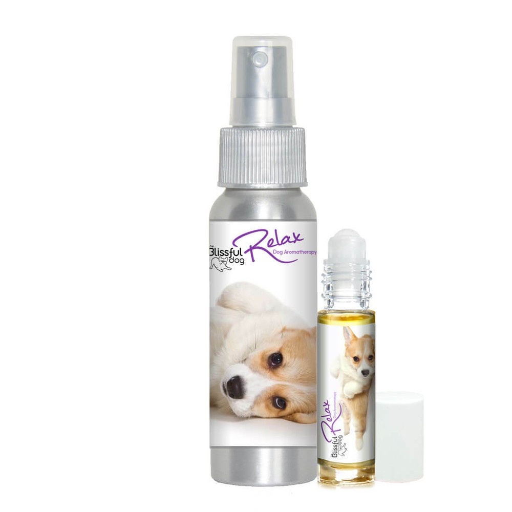 Corgi Relax Dog Aromatherapy | Thunderstorms, Fireworks, Separation Anxiety