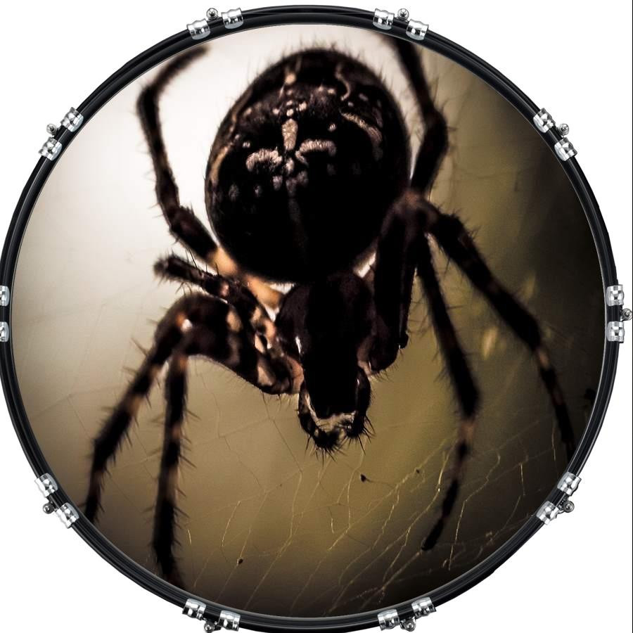 20" Custom Bass Kick Drum Front Head Graphic Graphical Spider 8