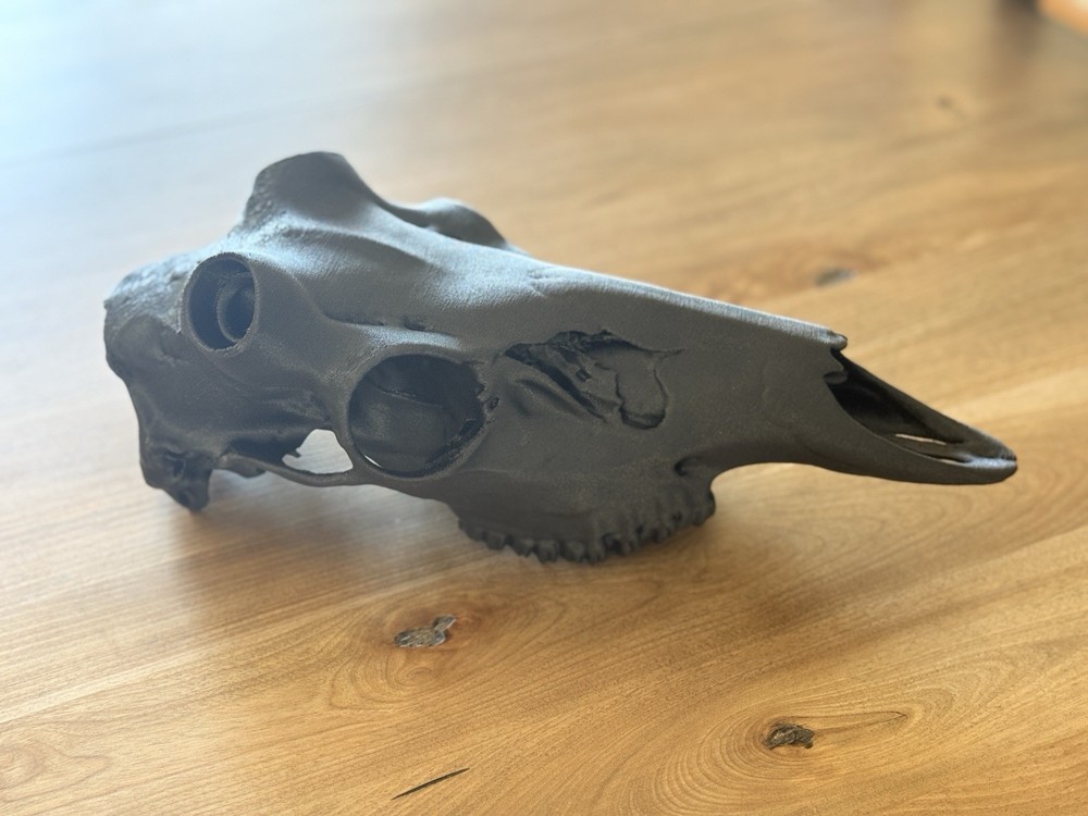 Carbon Fiber Deer Skull