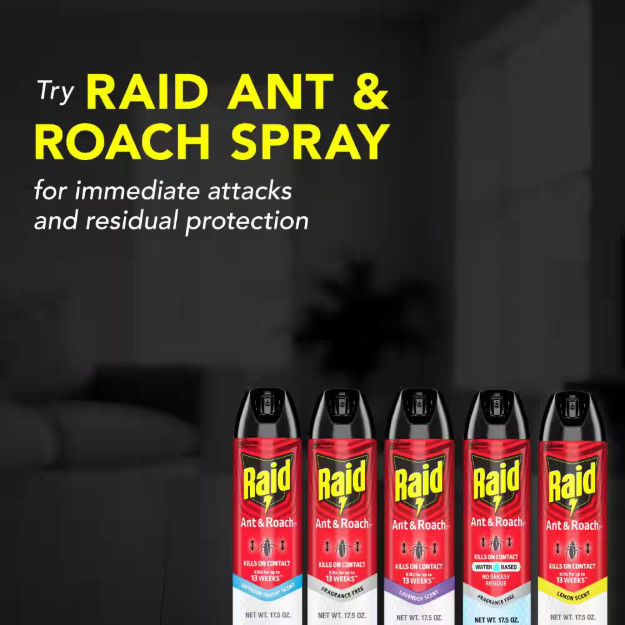 Raid Defend Ant and Roach Insect Killer, Indoor Insecticide, Lemon Scent, 20 oz.