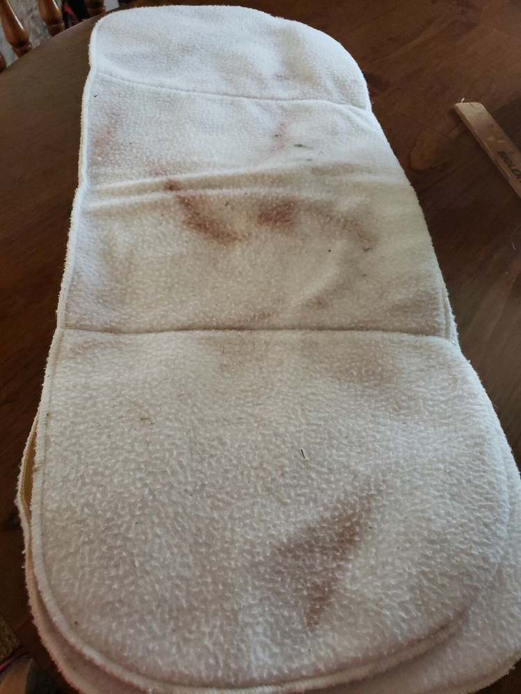 Horse Fleece  White Leg Wraps