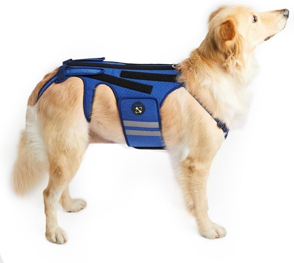 Reflective Dog Back Bracer for Arthritis Relief, Blue-Medium