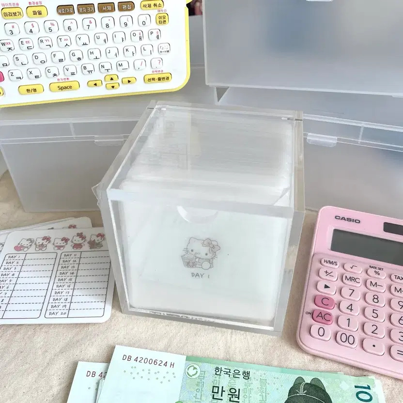 Kitty 100-Day Savings Challenge + Saving Box