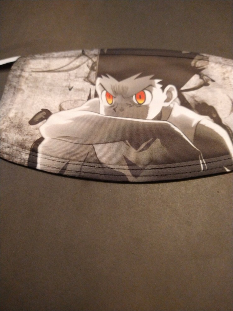 Hunter x hunter Gon face mask