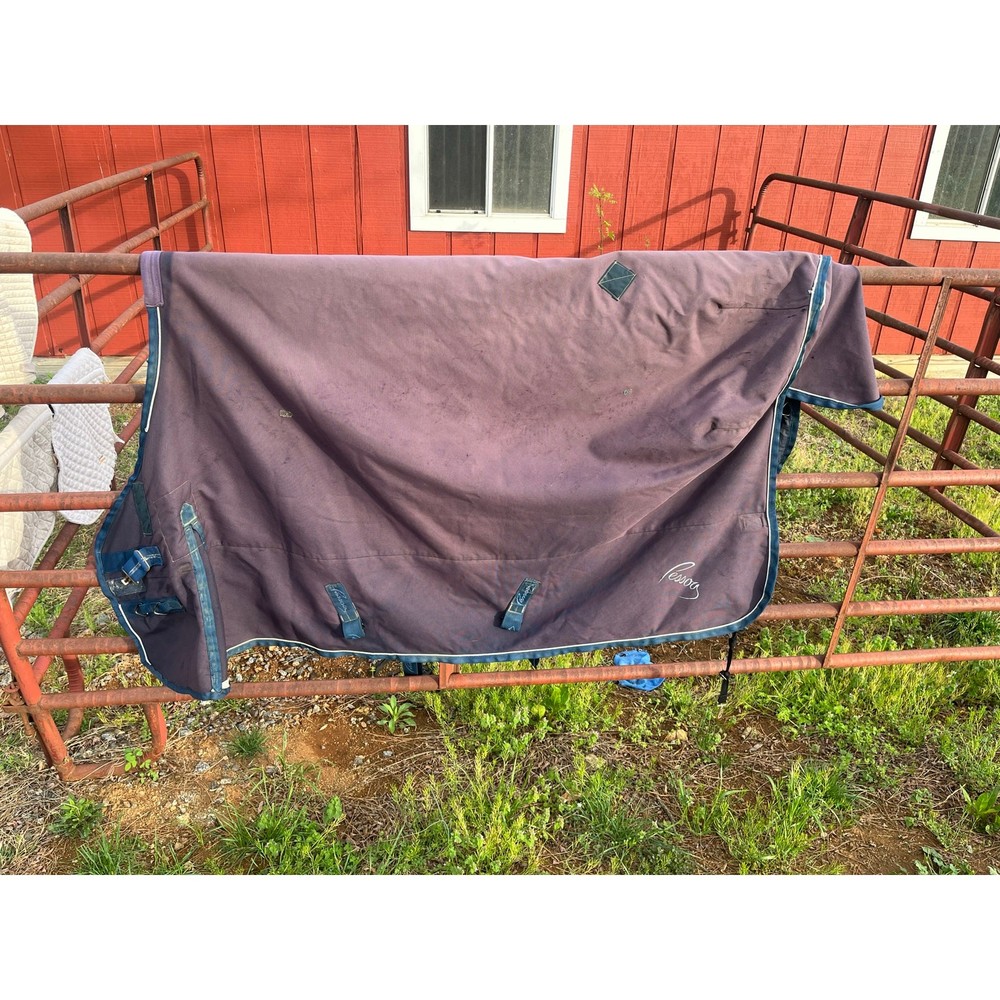 Pessoa Medium Horse Blanket size 78
