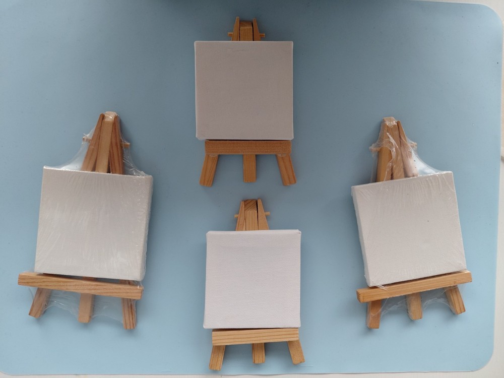4x Mini Canvas & Easels