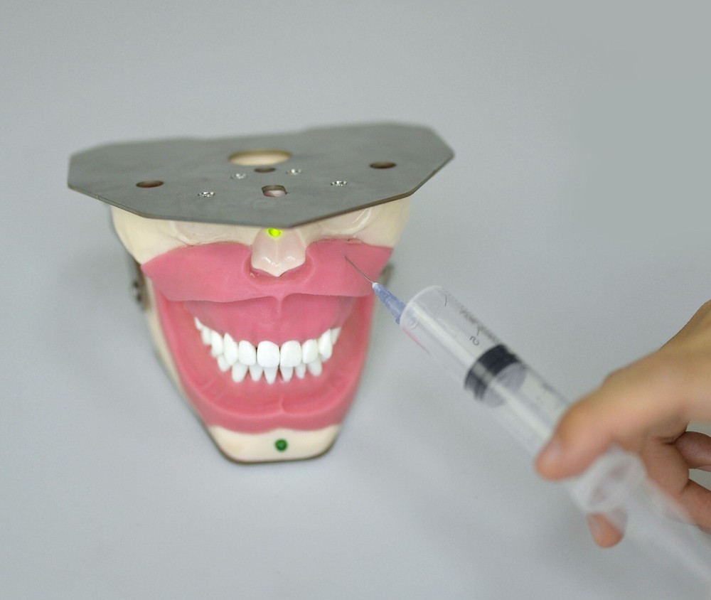 Dental Anesthesia Tooth Extraction/Removal Practice Model Dentist Training