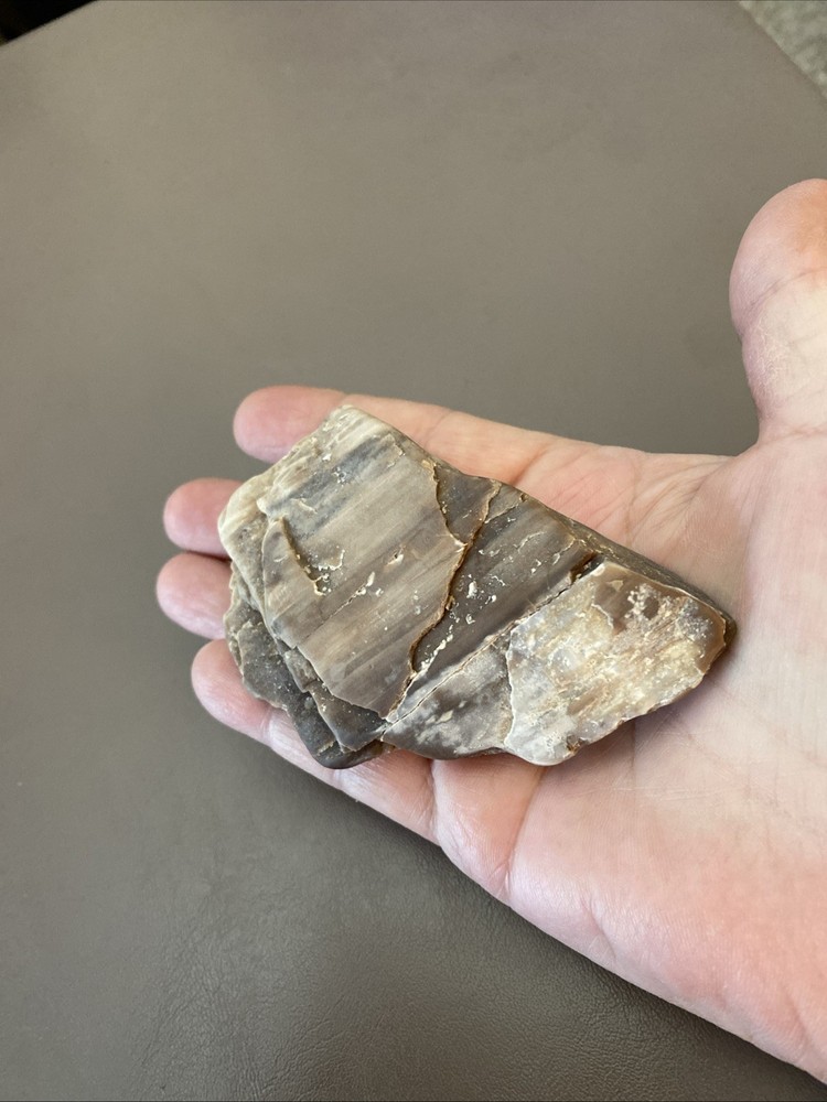 Petrified Wood