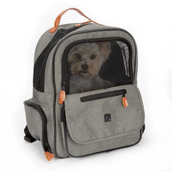 Cruising Companion On the Go Backpack