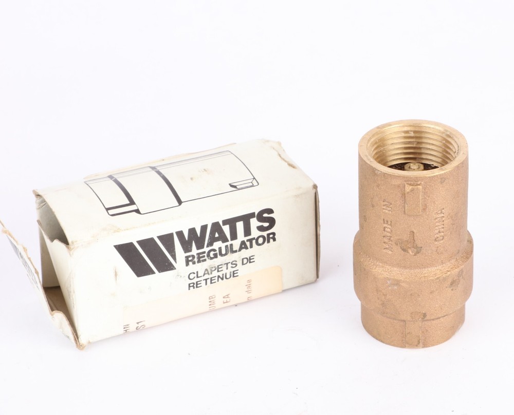 Watts ECV 100 1" NPT Spring Check Valve