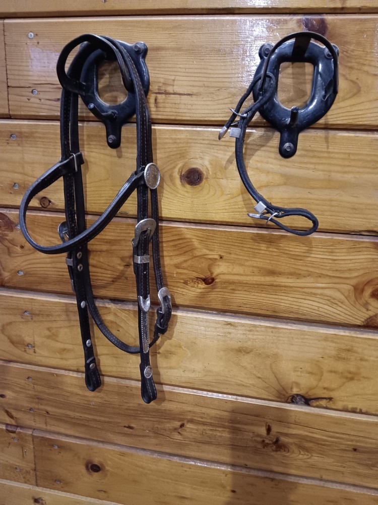 Circle Y Silver Show Headstall