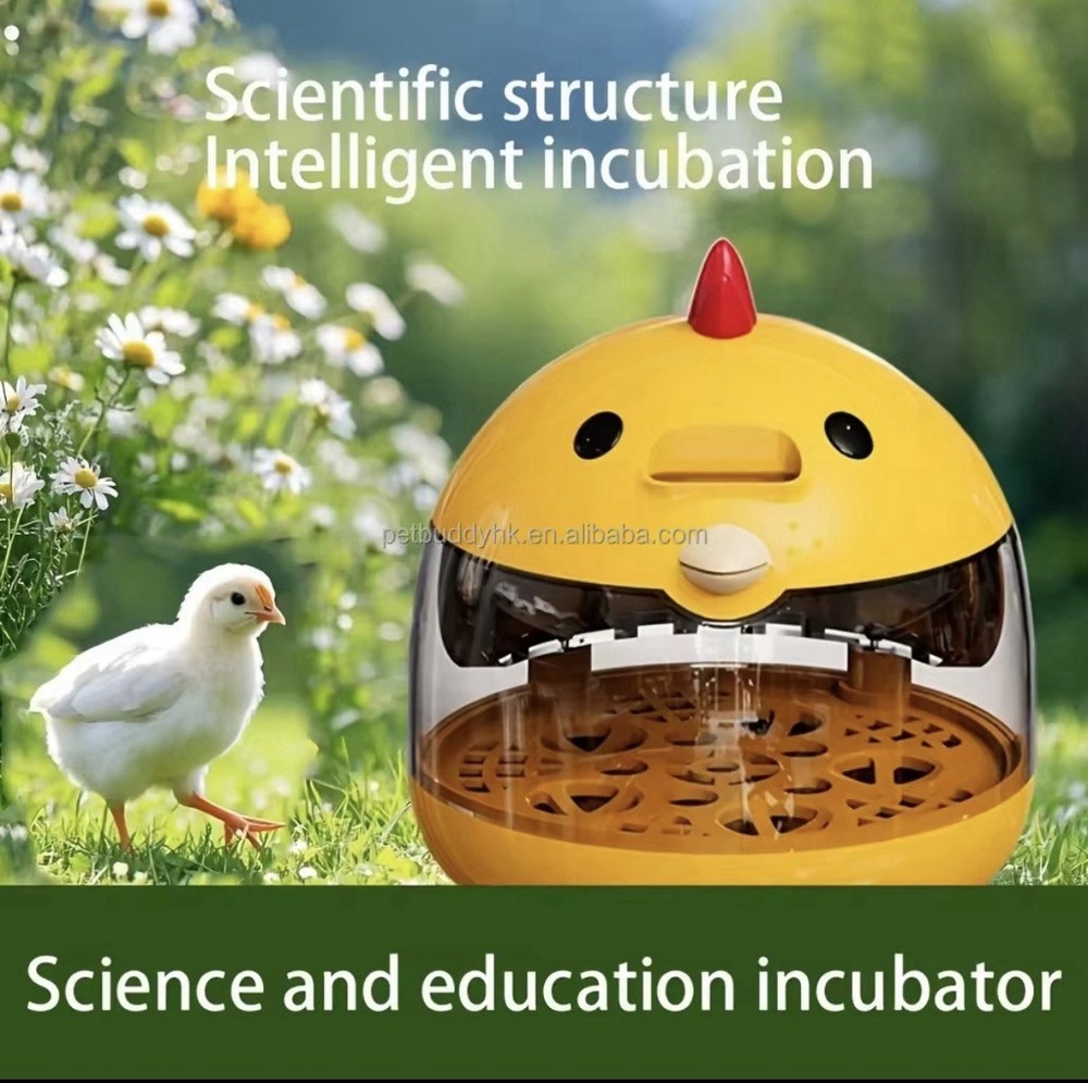 Incubator for Hatching Eggs-4 Egg Capacity Temperature Control, 360° Viewing