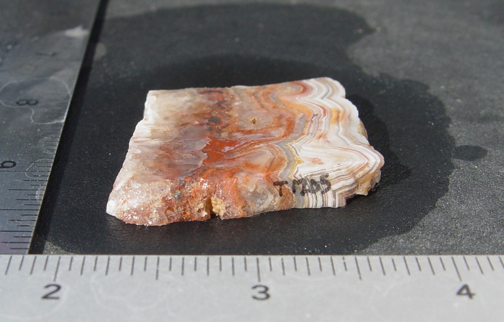 Laguna Lace Agate Lapidary Slab T1205