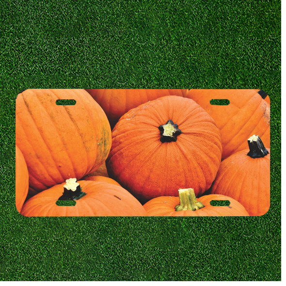 Creative License Plate Auto Tag With Orange Pumpkins Design