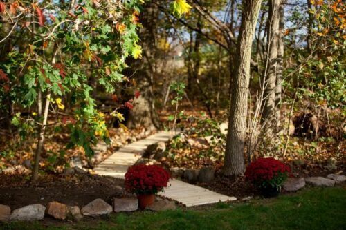 Beach Roll Up Walkway- Pressure Treated Pine-Multiple Sizes