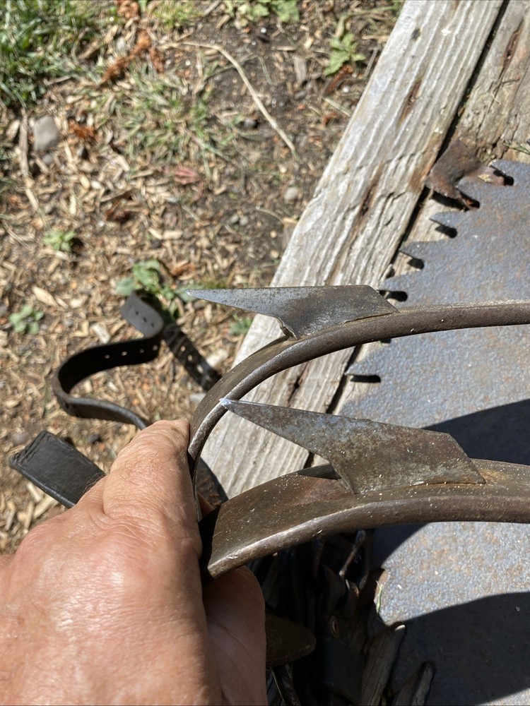 Buckingham Lineman Pole Climbing Spikes/Tree Climbing Spikes Adjustable
