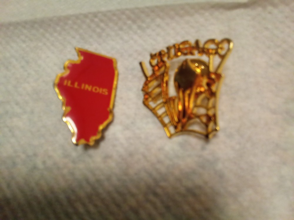ILLINOIS PINS.
