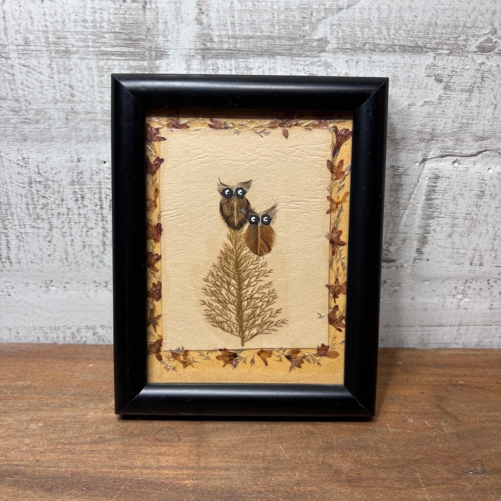 Vintage Botanical Owl Pressed Art Black Frame