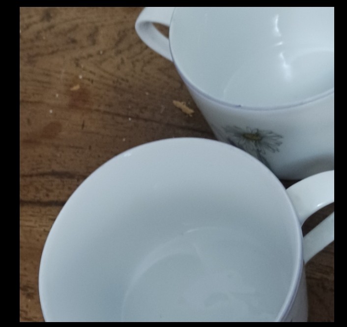 Spode Spal Cups Pair Floral Goertzen Pattern