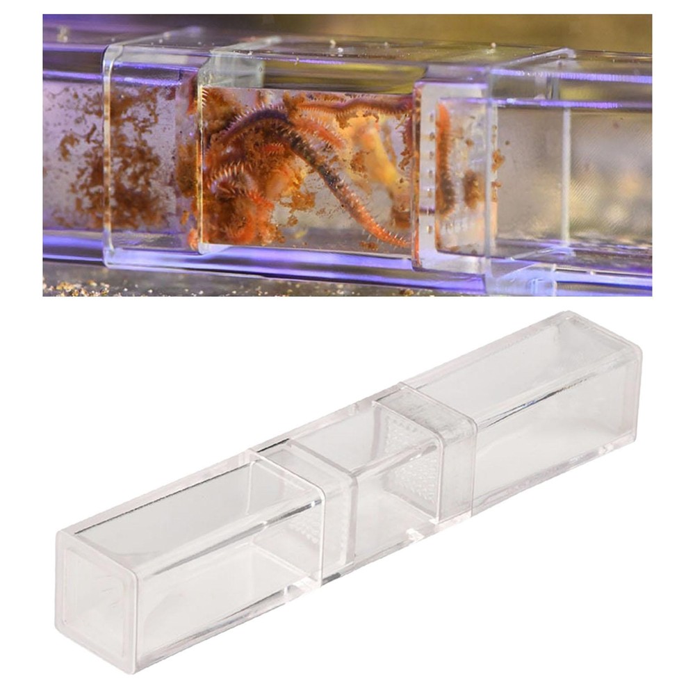 Leeches Catcher Planaria Trap Flatworm Trap