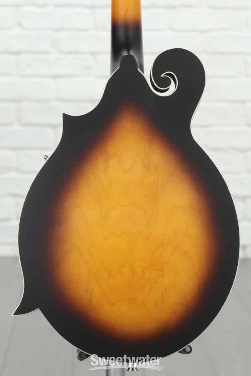 Washburn Americana M3E-PACK Mandolin Pack
